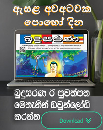 Budusarana e-paper