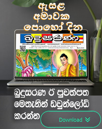 Budusarana e-paper