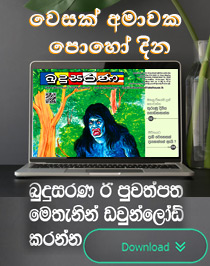 Budusarana e-paper