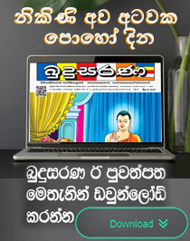 Budusarana e-paper