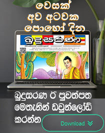 Budusarana e-paper