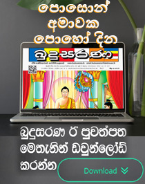 Budusarana e-paper