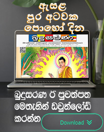 Budusarana e-paper