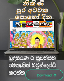 Budusarana e-paper